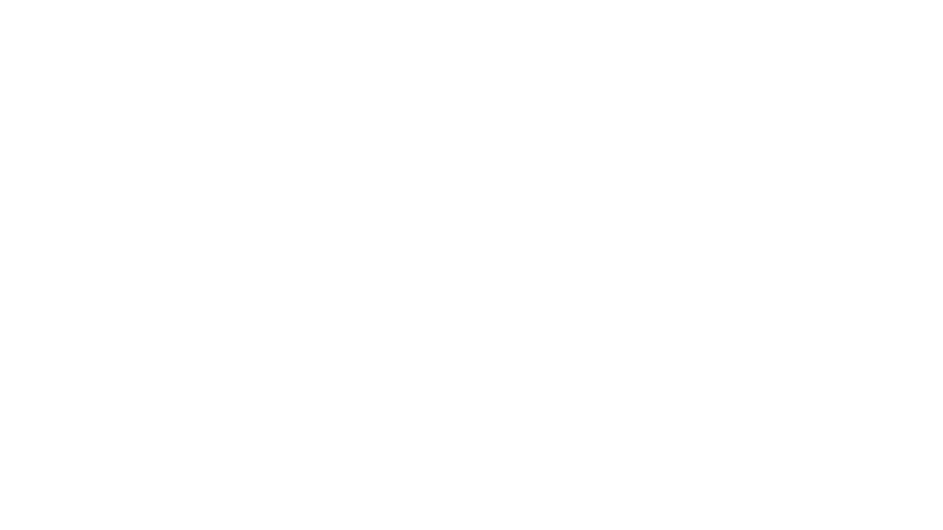 logo-caminetti
